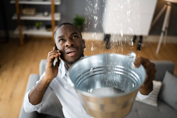 Best Professional water damage repair  in Hollister, CA