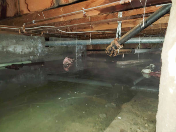Best 24/7 water damage repair  in Hollister, CA