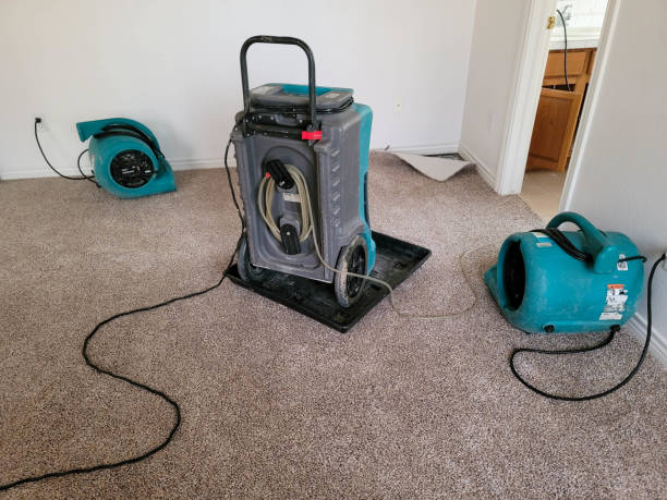 Best Water damage mitigation services  in Hollister, CA