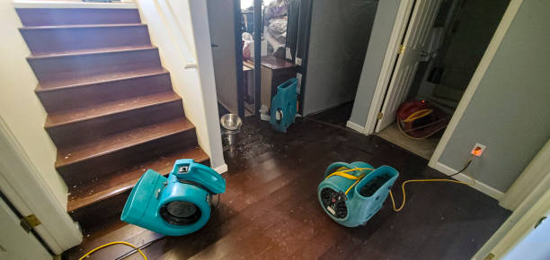 Best 24/7 water damage repair  in Hollister, CA