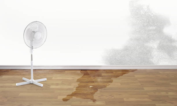 Best Sewage cleanup and water damage restoration  in Hollister, CA