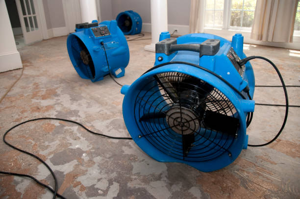 Best Water damage restoration near me  in Hollister, CA