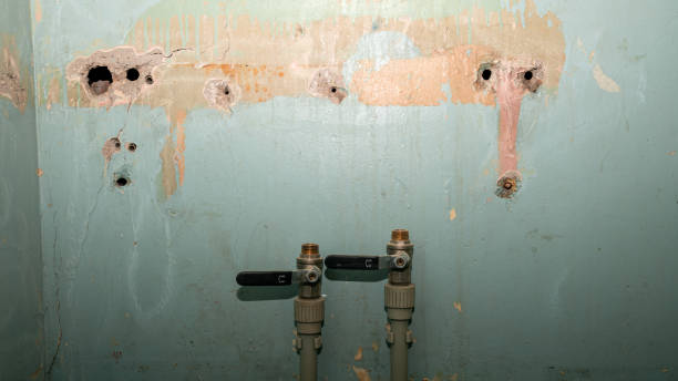 Best Basement water damage restoration  in Hollister, CA