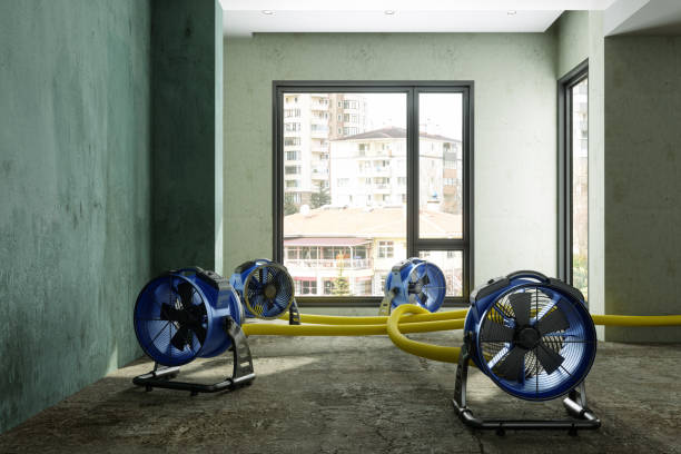 Best Water damage restoration experts  in Hollister, CA